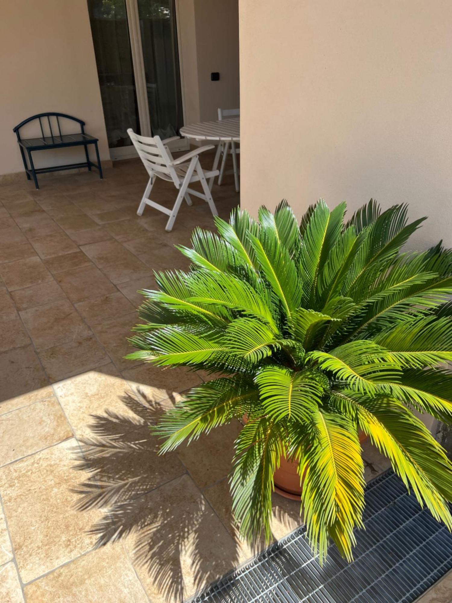 Villa Valentina Cefalu Luaran gambar
